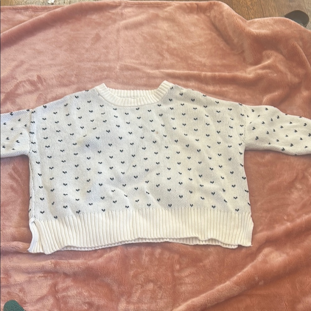 Francesca's Collections White and Black Crew Neck Sweater